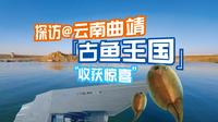曲靖博物馆-探访古鱼的王国