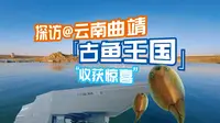 曲靖博物馆-探访古鱼的王国