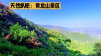 陕北明珠：黄龙山景区