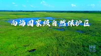 吉林向海国家级自然保护区