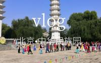 vlog游览中华民族园，中华民族博物馆