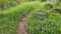⛰️九华山·道僧洞徒步打卡 上山1h50min，下山1h。