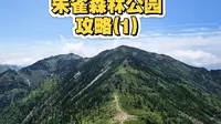 朱雀国家森林公园攻略(1)，上高山草甸