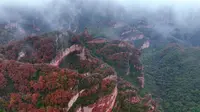 【4K】三分钟，看一下秋天的板山多美丽