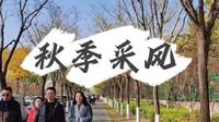#西安浐灞国家湿地公园# 《秋季采风》