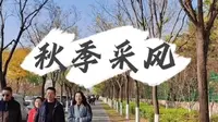 #西安浐灞国家湿地公园# 《秋季采风》