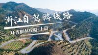 全国唯一的环香榧林美丽公路，就在浙江绍兴市，适合周末跑山自驾