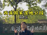 第一次去西溪国家湿地公园（免费区）怎么玩