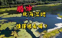 进腾冲北海湿地景区之前，可以先来这个免费观景平台看一下，再决定进不进去吧！！！