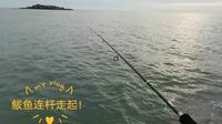葫芦岛兴城觉华岛涨潮矶钓鲅鱼连杆，爽！