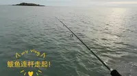 葫芦岛兴城觉华岛涨潮矶钓鲅鱼连杆，爽！
