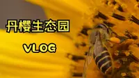 汕头丹樱生态园之旅｜VLOG｜