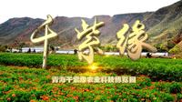 青海千紫缘农业科技博览园