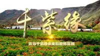青海千紫缘农业科技博览园
