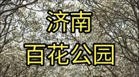 3.16日百花公园玉兰花现状｜健身广场｜遛娃｜美食