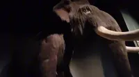 大庆博物馆