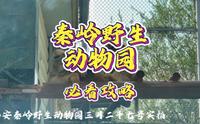 西安秦岭野生动物园必看攻略（3月27号实拍）