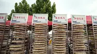 《冀韵新风》10：威县孙家寨村的千叟饺子宴