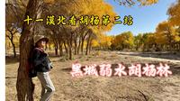 十一漠北看胡杨第二站，黑城弱水胡杨林