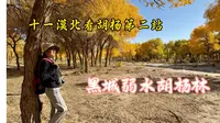 十一漠北看胡杨第二站，黑城弱水胡杨林