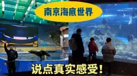 简单聊聊南京海底世界