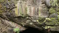 龙岩洞！一镜到底！