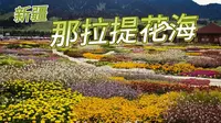 2026年8月新疆那拉提花海  #新疆#那拉提花海