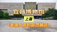 地级市博物馆中强者，宜昌博物馆自然资源篇——博物馆的槽点基本都在这了