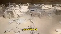 洛阳天子驾六博物馆