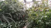 天津热带植物园