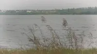 广东海洋大学-广东省湛江市麻章区湖光镇-湖光岩Experience