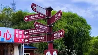 昌黎国际滑沙中心