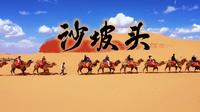 大风天硬玩沙坡头之一日游记！！