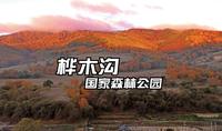 蛤蟆坝日出金山，桦木沟路上秋色不逊景区