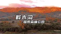 蛤蟆坝日出金山，桦木沟路上秋色不逊景区