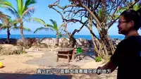 南极村艺术家部落，一个真正面朝大海春暖花开的地方