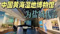 如果来盐城只能去一个地方的话，那就是中国黄海湿地博物馆吧！