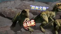 神奇一幕~萍乡博物馆文物“下班”后竟然……