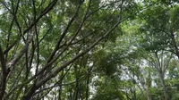 泉州森林公园游记