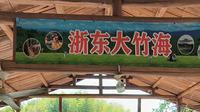 宁波：浙东大竹海景区全方位拍照