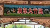 宁波：浙东大竹海景区全方位拍照