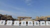 【东营黄河三角洲动物园】半日游（手机记录生活~~）