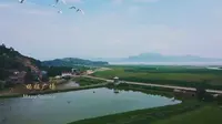 福建闽江河口湿地生物多样性保护