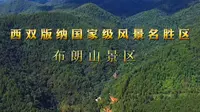布朗山景区