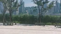 停摆近一年的南滨路钟楼