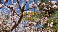 北京园博园赏花攻略来啦～