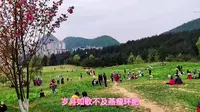 贵阳沙冲路药用植物园樱花开了，“樱你而美”