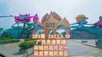 389集 广西贵港覃塘 荷城的名片之一 荷美覃塘风景区
