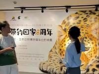 【2024】国家动物博物馆|“带豹回家”8周年特展（北京）【云游直播回放】-溜达搬运