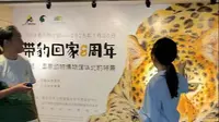 【2024】国家动物博物馆|“带豹回家”8周年特展（北京）【云游直播回放】-溜达搬运